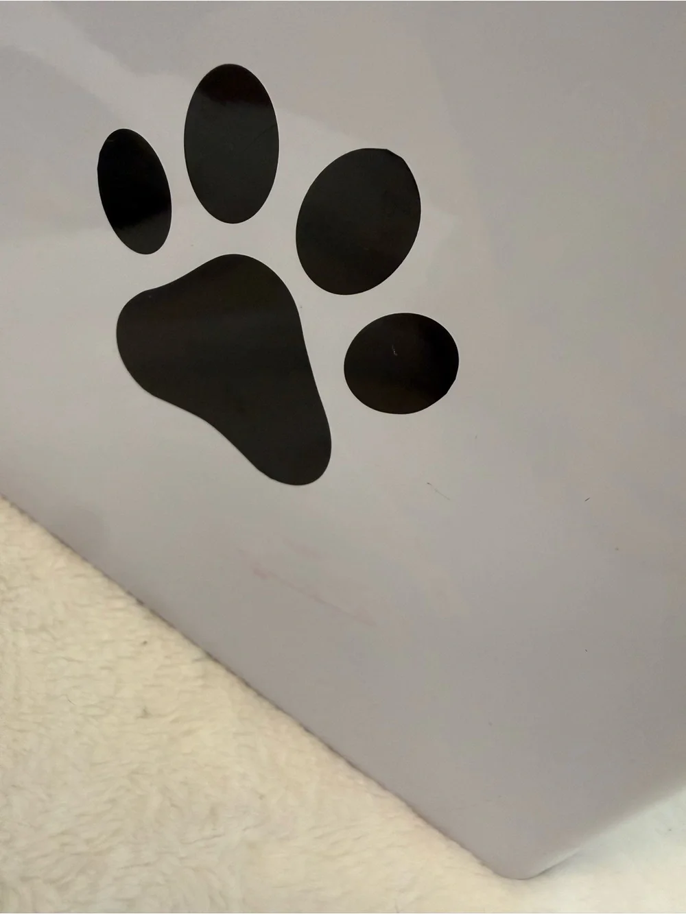 Pet Food Storage Canister with Scoop - White